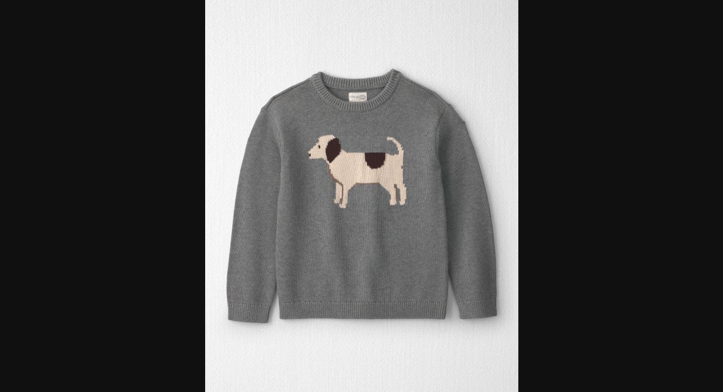 Kids Organic Cotton Dog Sweater